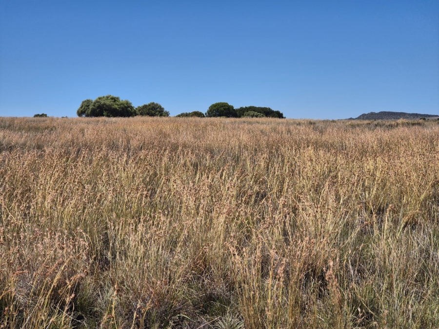 0 Bedroom Property for Sale in Edenburg Rural Free State